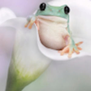 Meet your Posher, Chloe